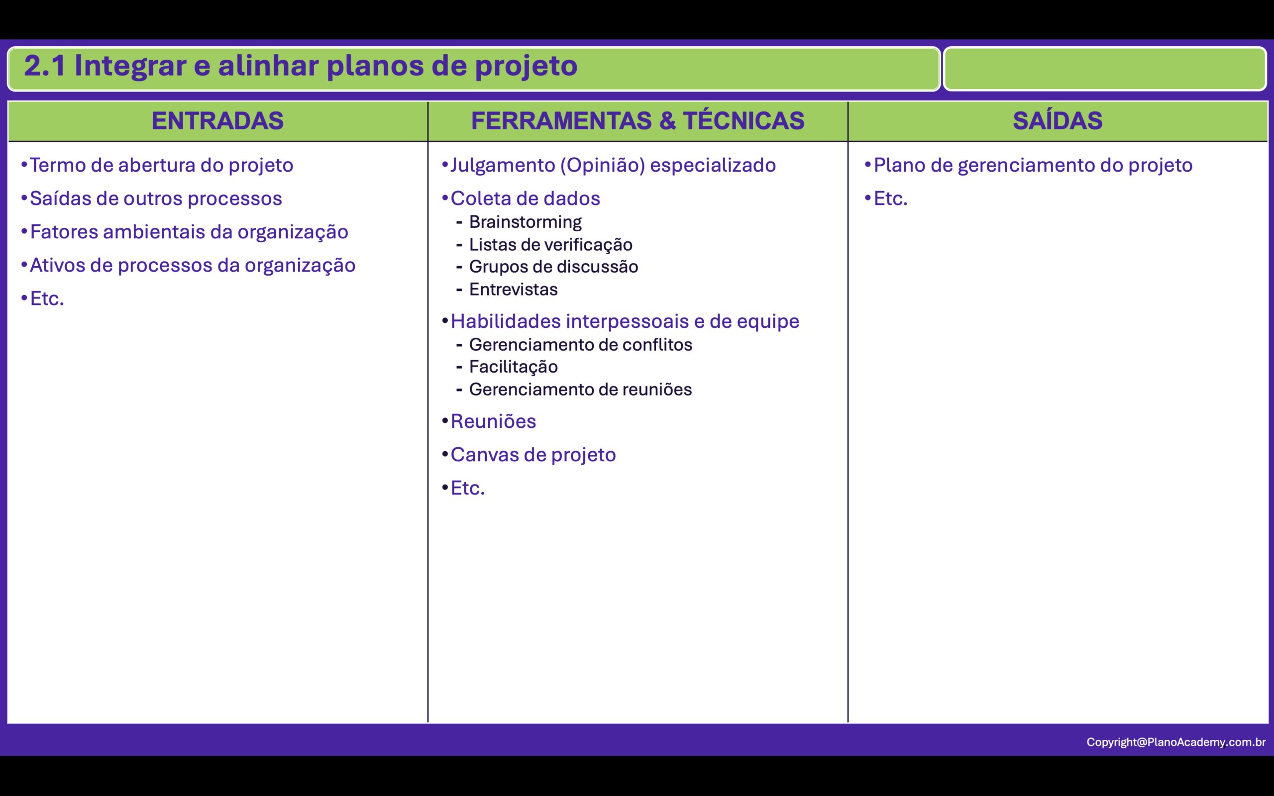 2.1. Integrar e Alinhar Planos de Projeto