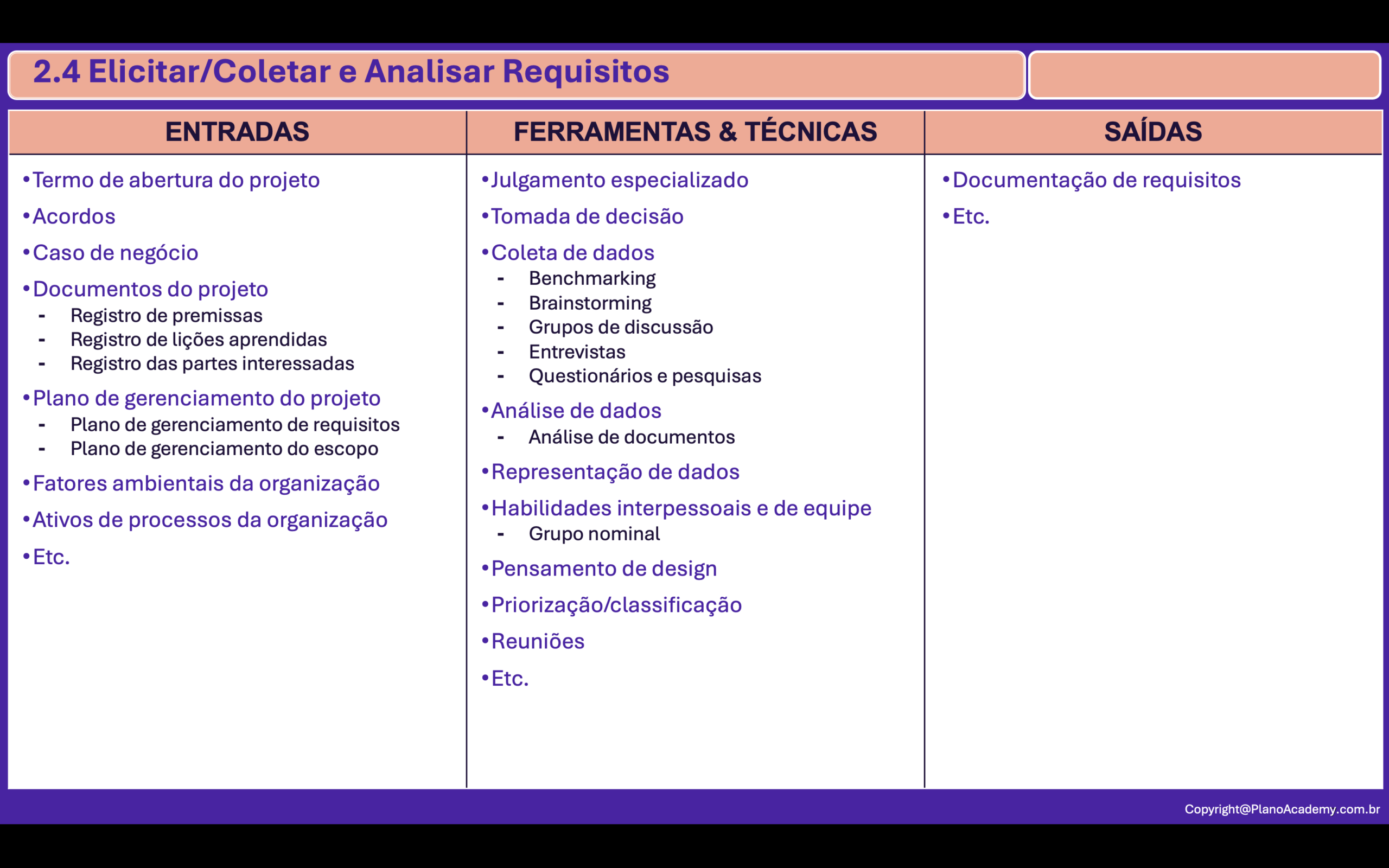 2.4. Elicitar/Coletar e Analisar Requisitos