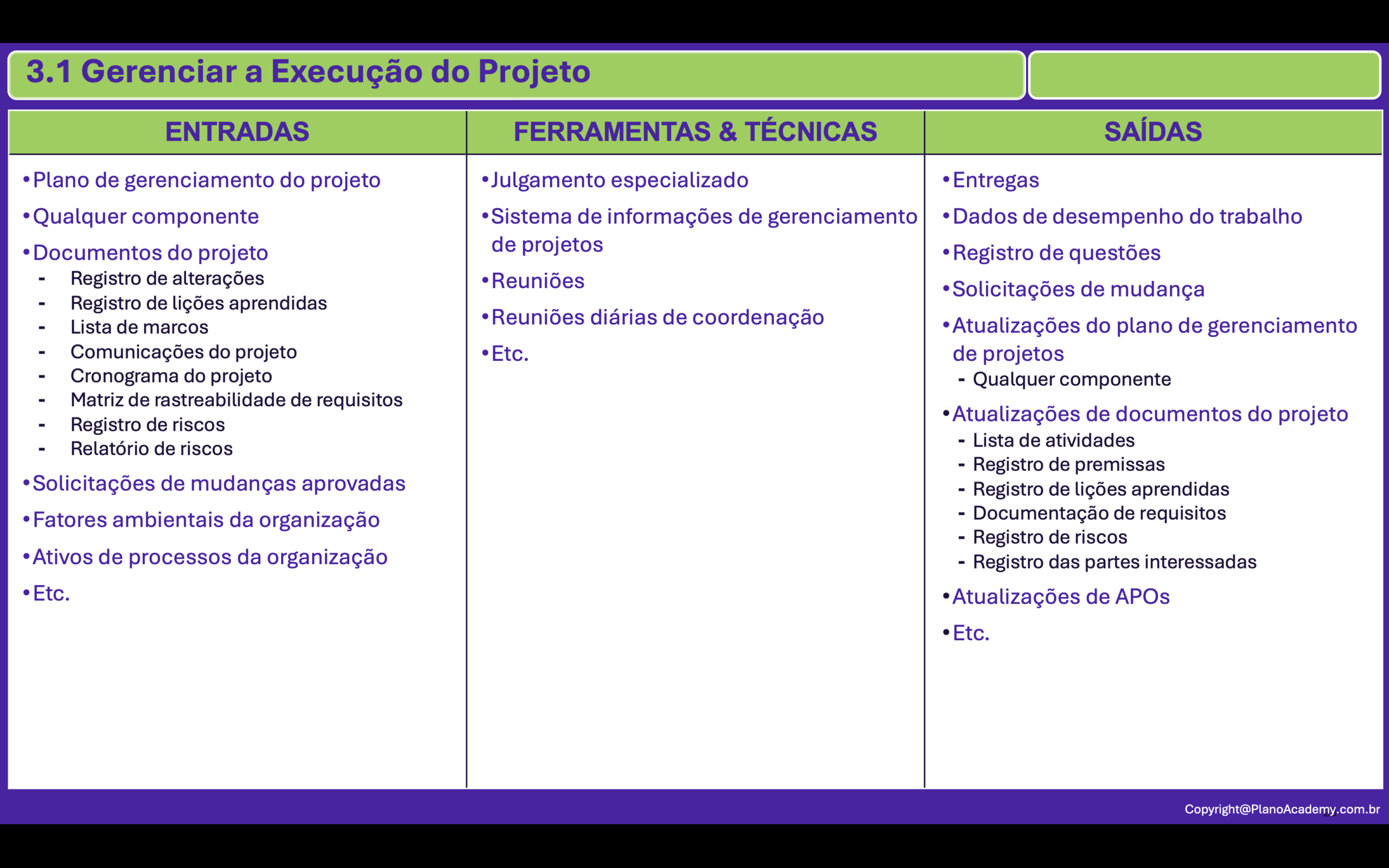3.1. Gerenciar a Execução do Projeto
