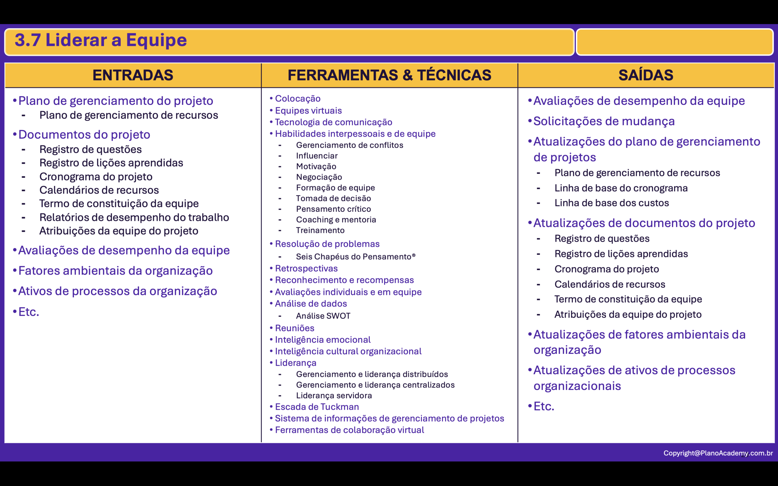3.7. Liderar a Equipe